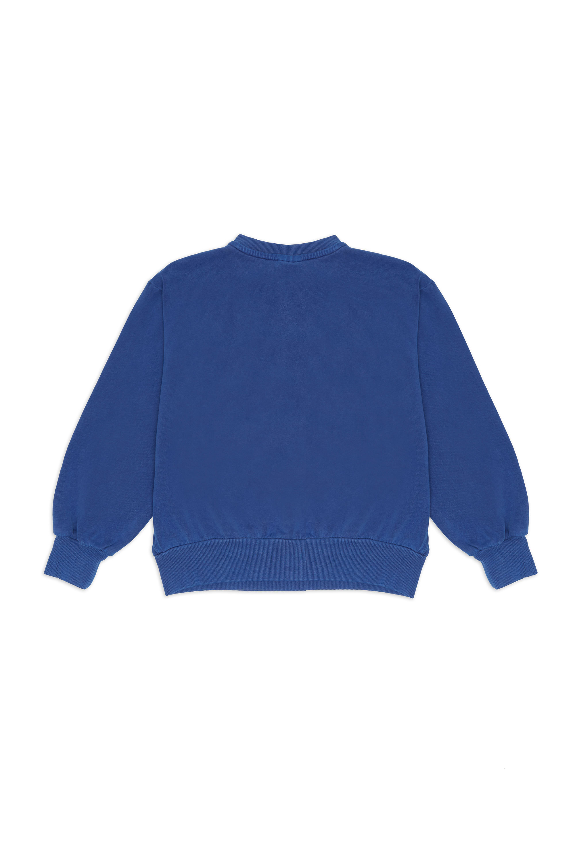 000002_GREENDOG_SWEAT_SHIRT1_BACK-weekend-house-kids-clothing