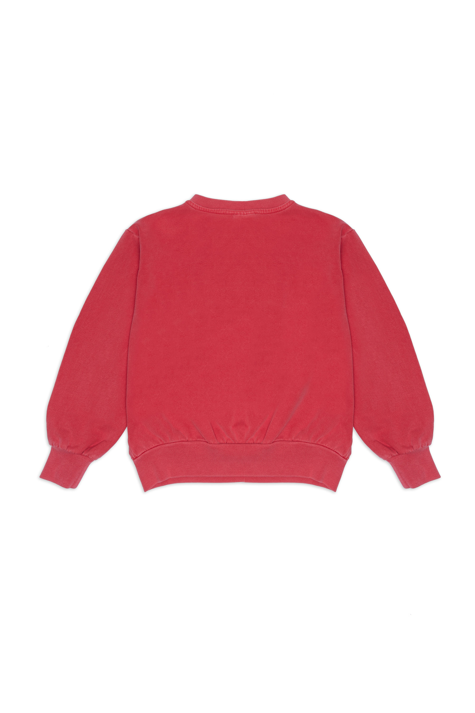 000001_GREEN-DOG-SWEAT-SHIRT-2_BACK-weekend-house-kids-clothing