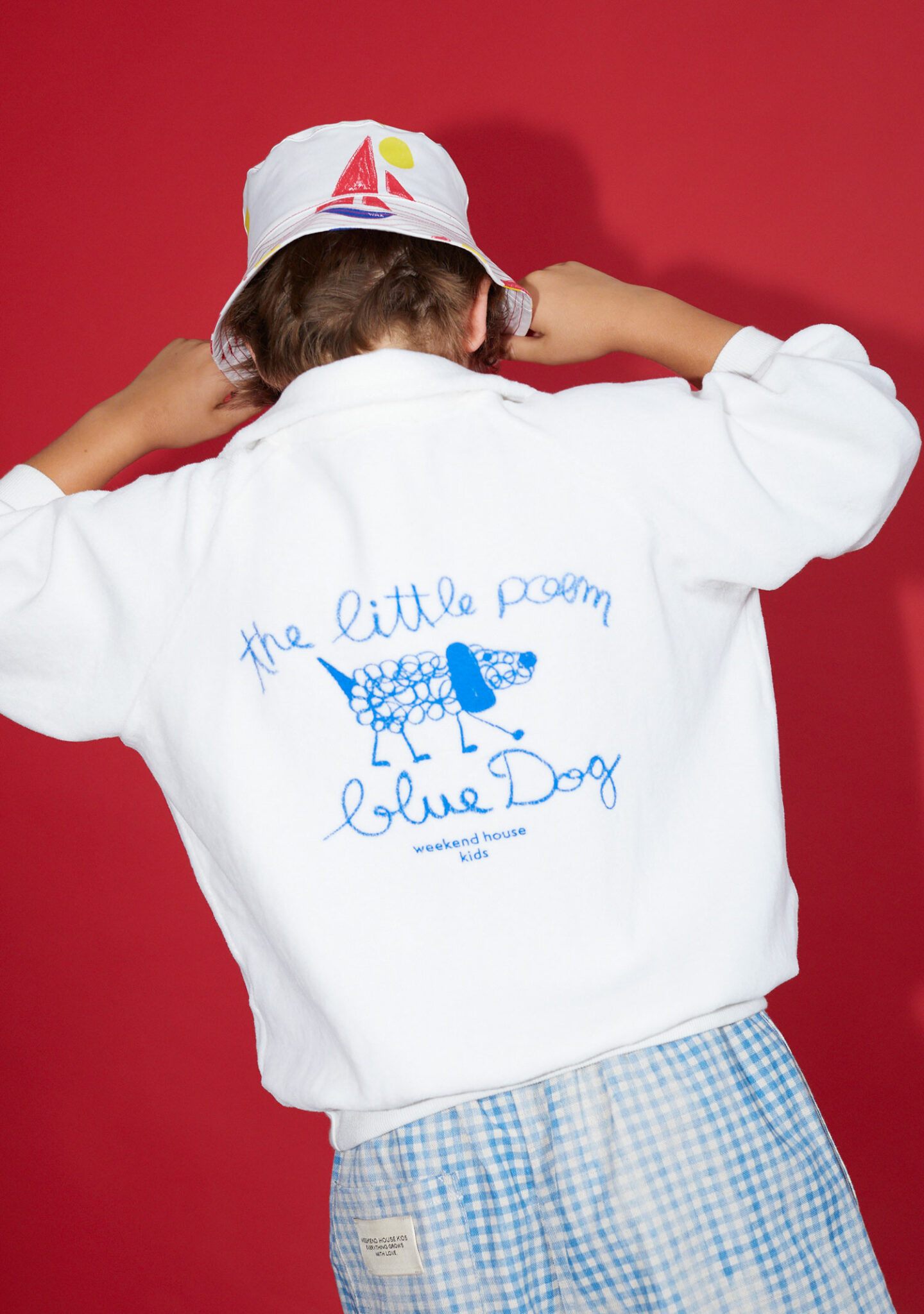 Dog polo sweatshirt
