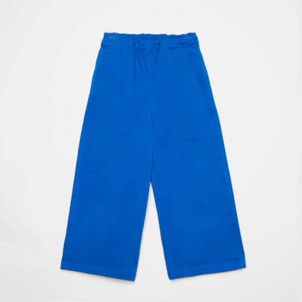Blue canvas pants