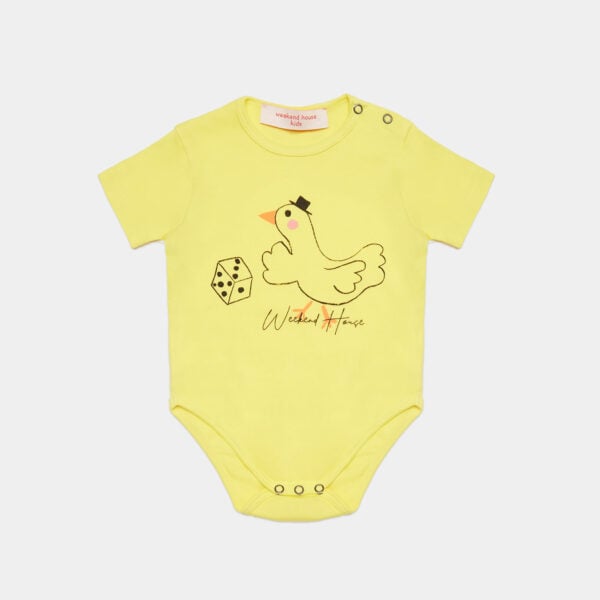 Goose body