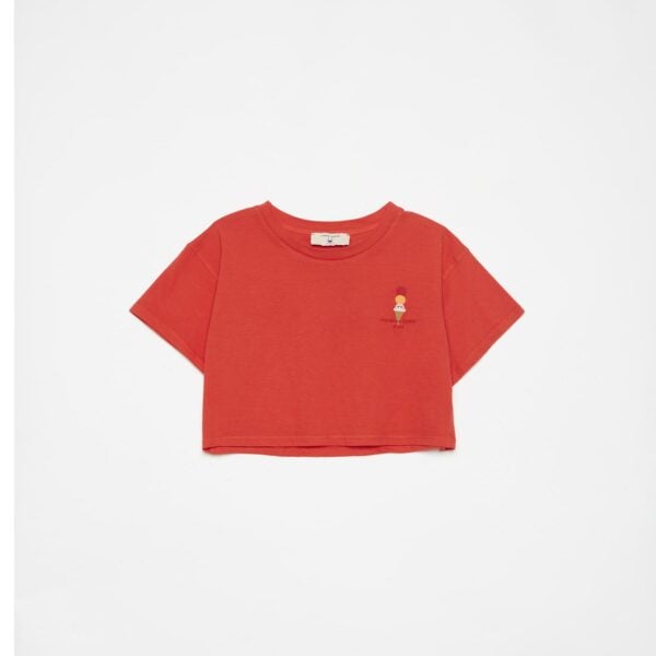 Ice cream crop t-shirt