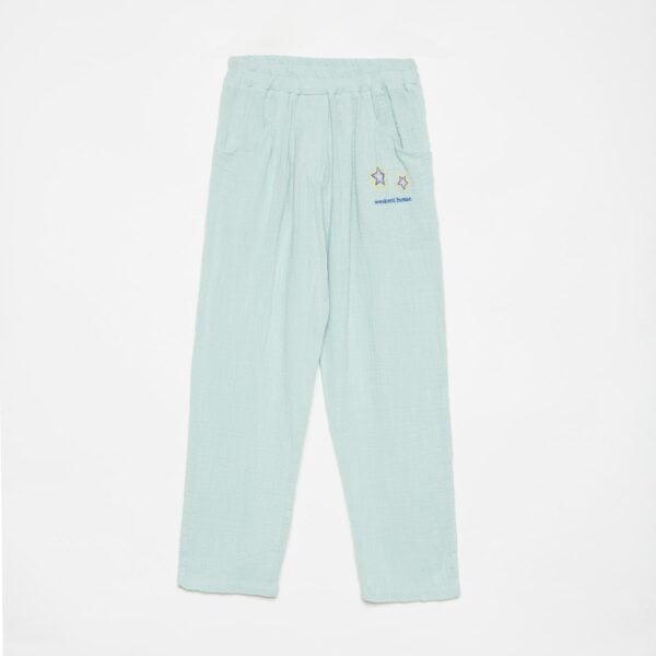 Embroidered stars carrot pants