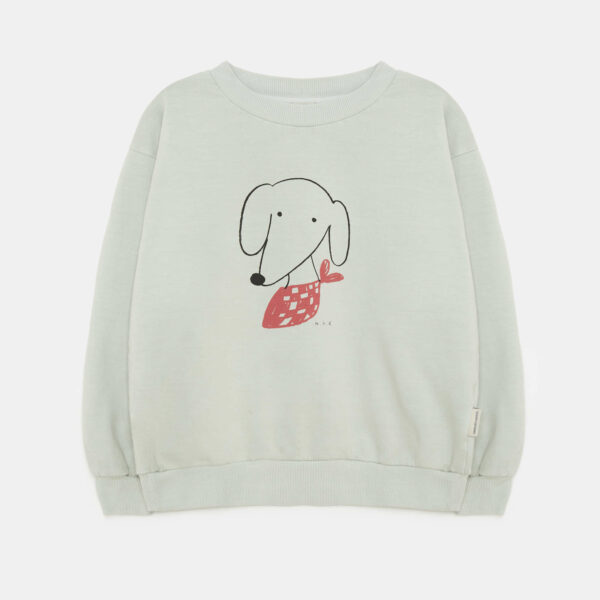 Dog sweatshirt (soft green)