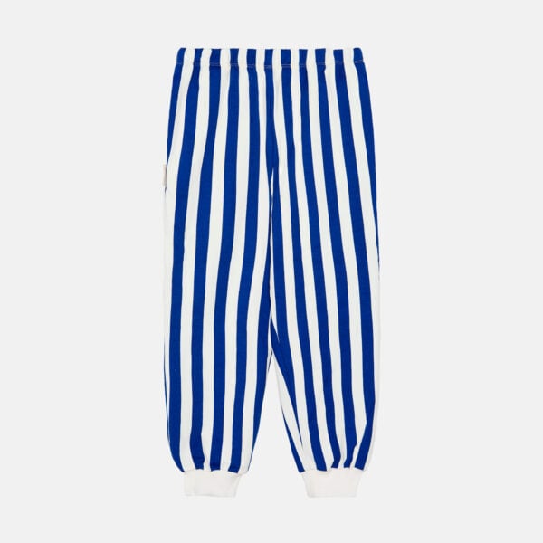 Blue stripes sweatpants