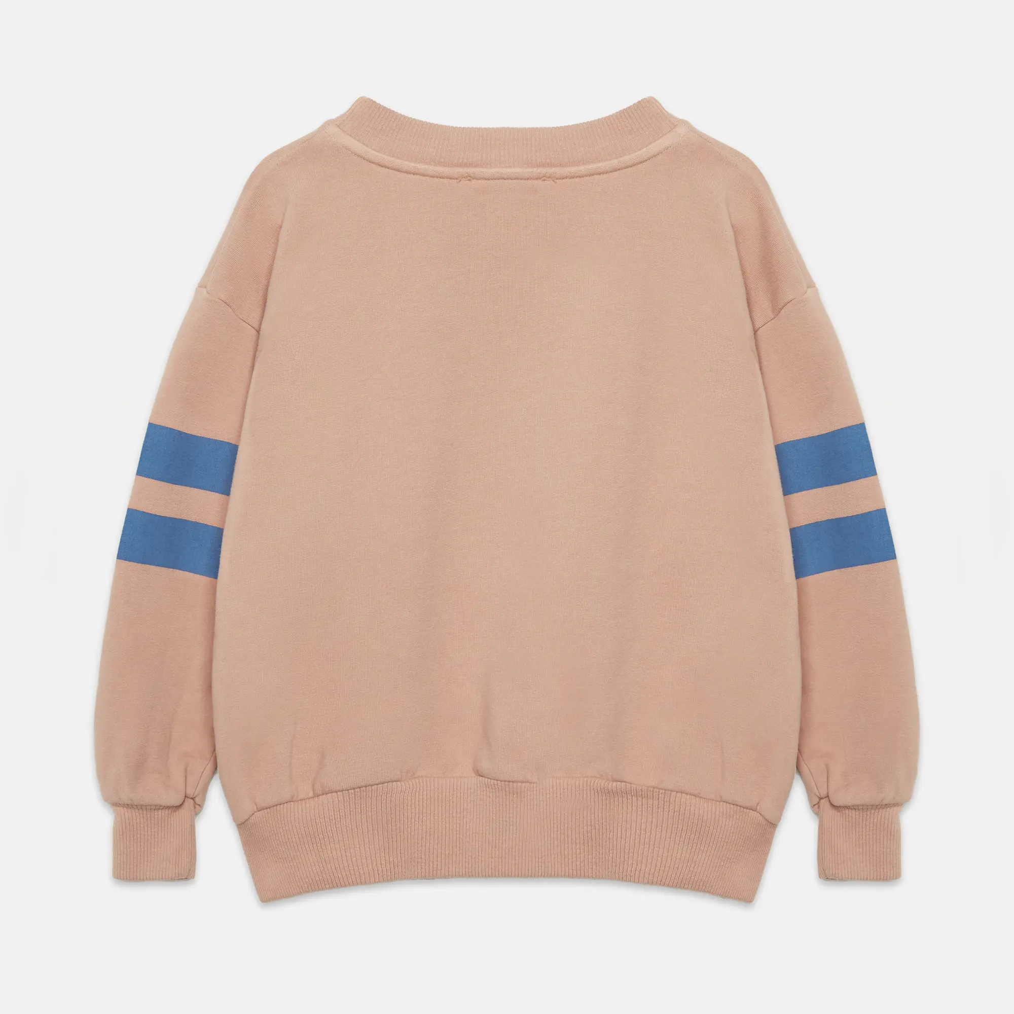 Blue Dog sweatshirt