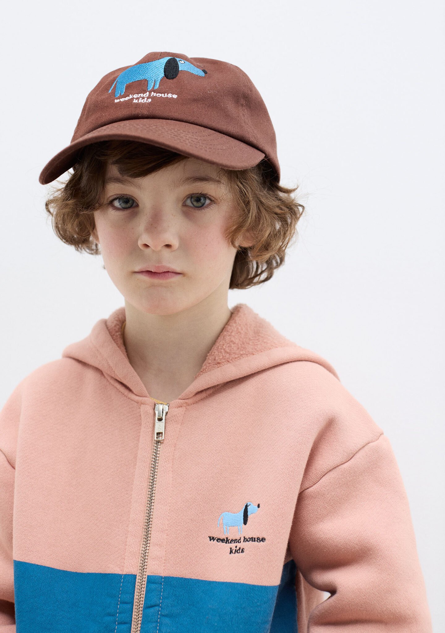Blue Dog hoodie