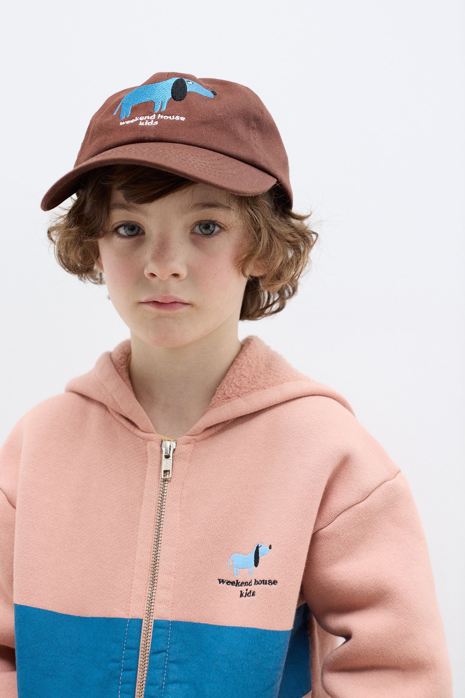 Blue Dog hoodie