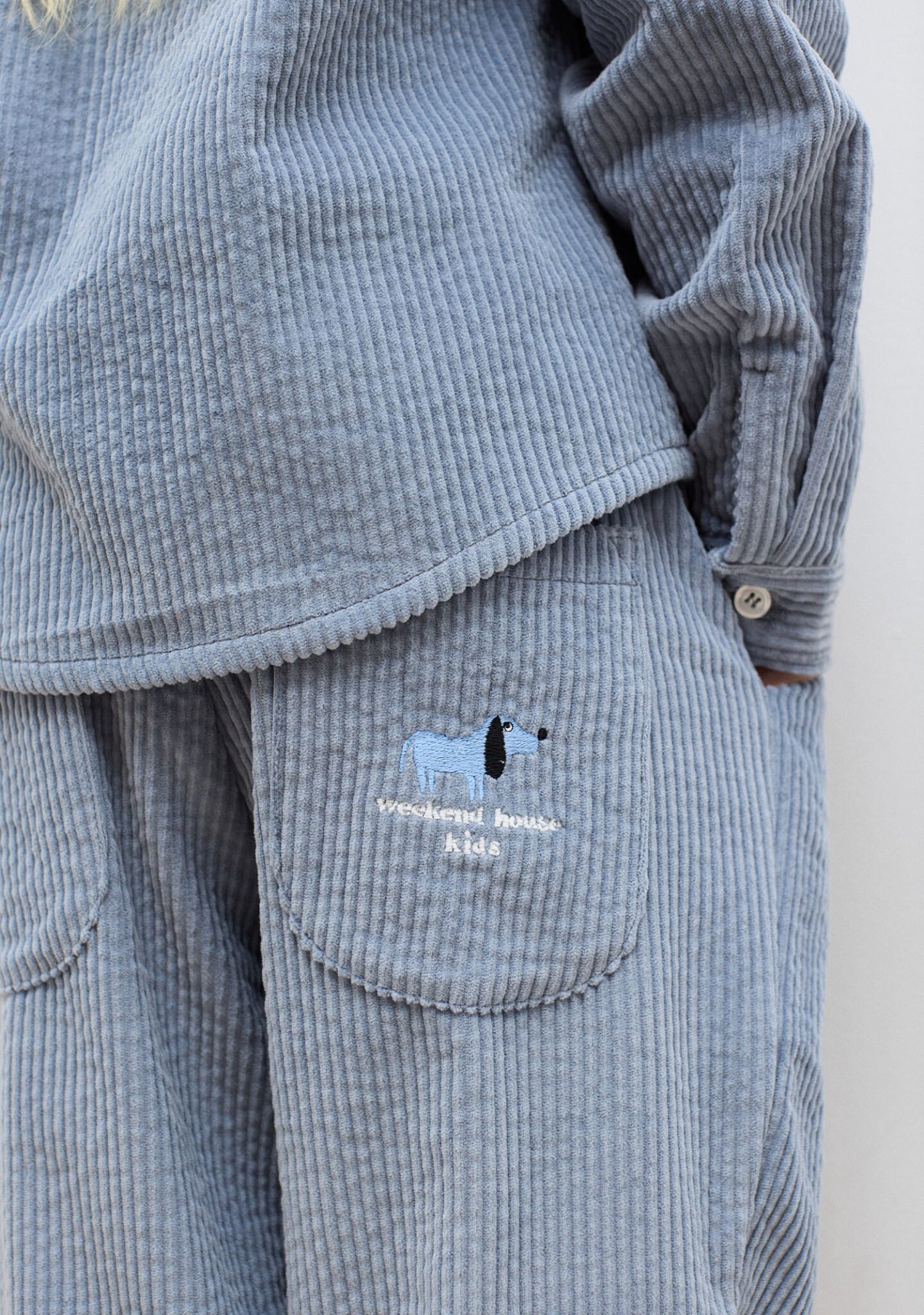 Blue Dog corduroy carrot pants