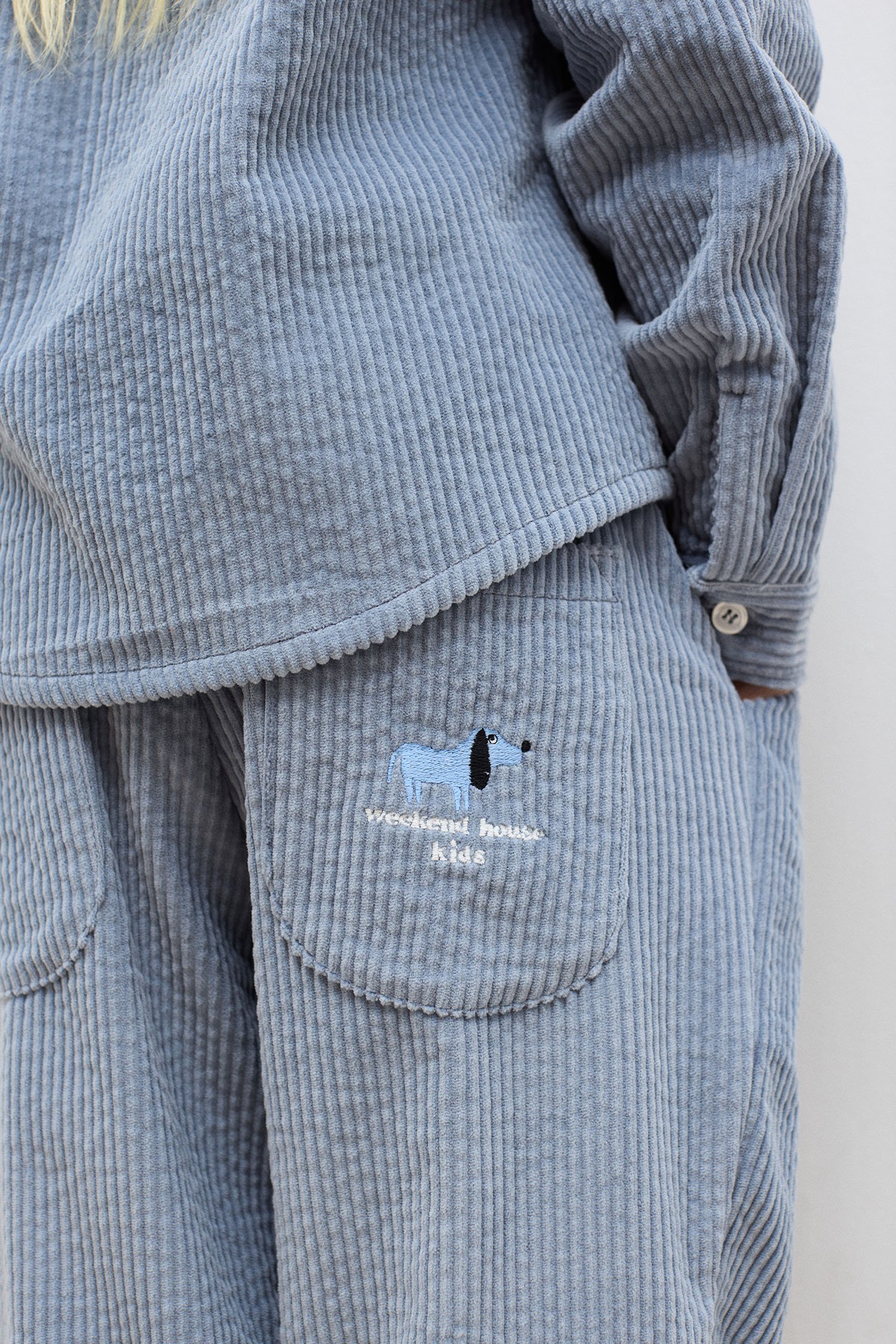Blue Dog corduroy carrot pants