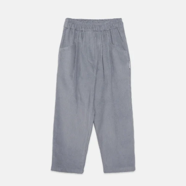 Blue Dog corduroy carrot pants