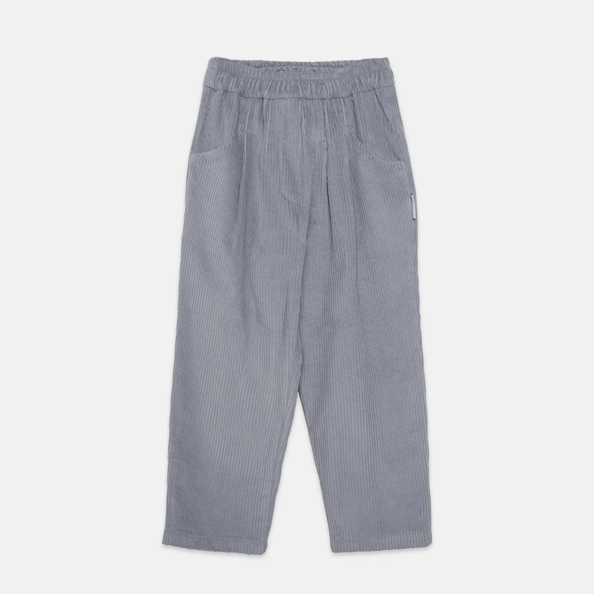 Blue Dog corduroy carrot pants