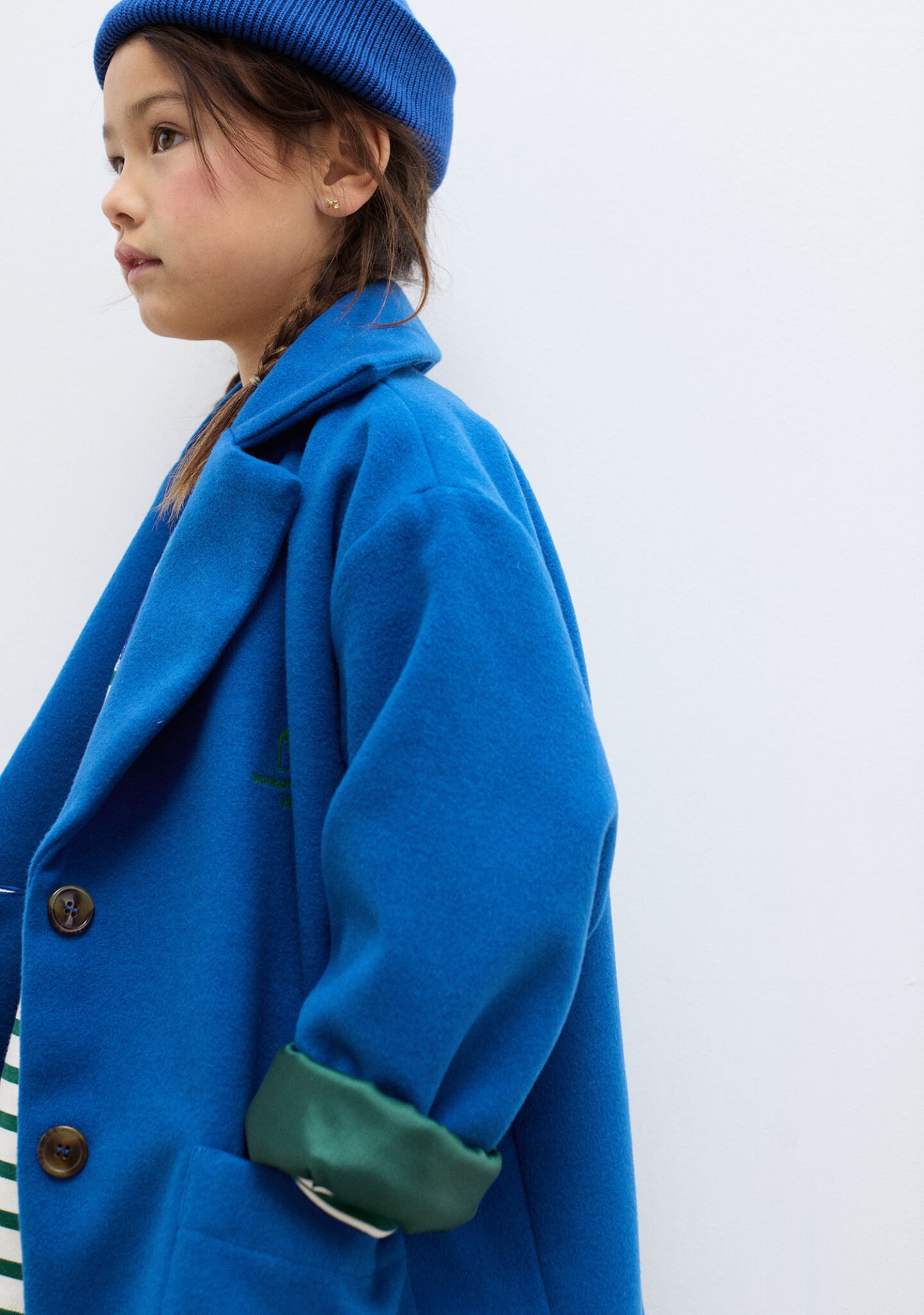 Blue dog coat