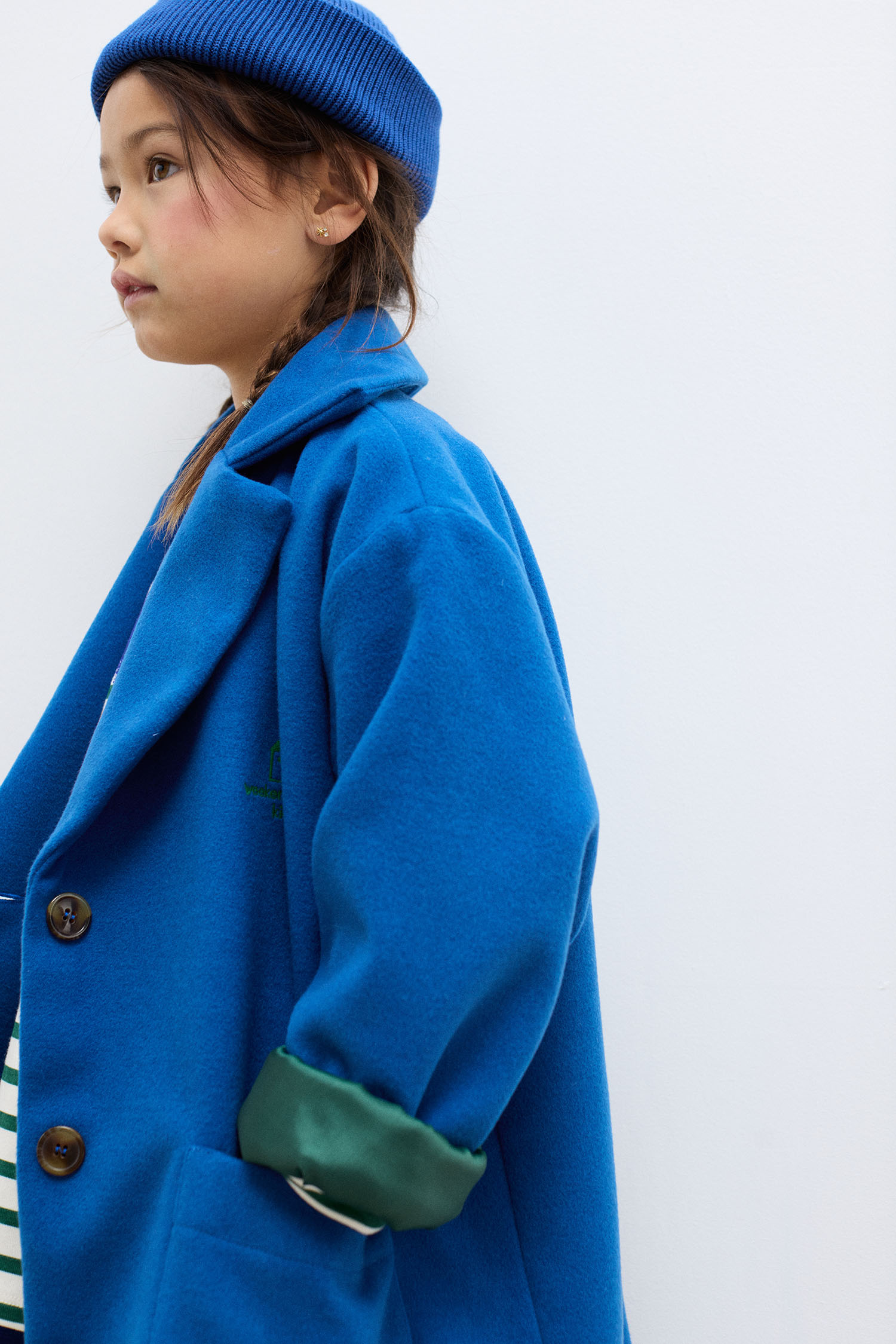 Blue dog coat
