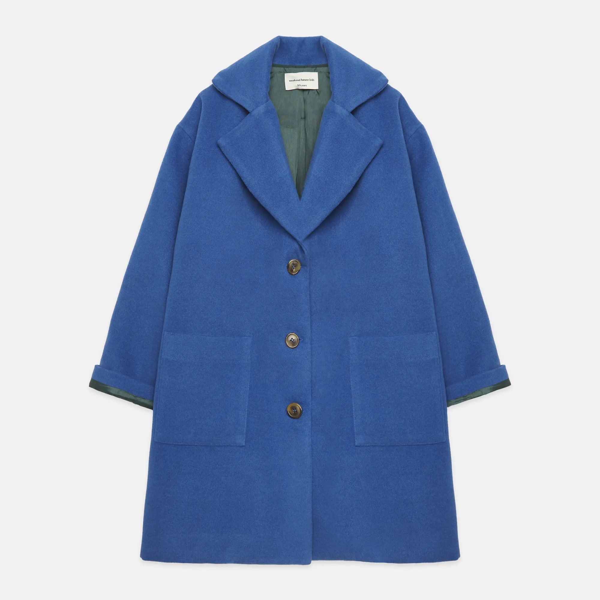 Blue dog coat