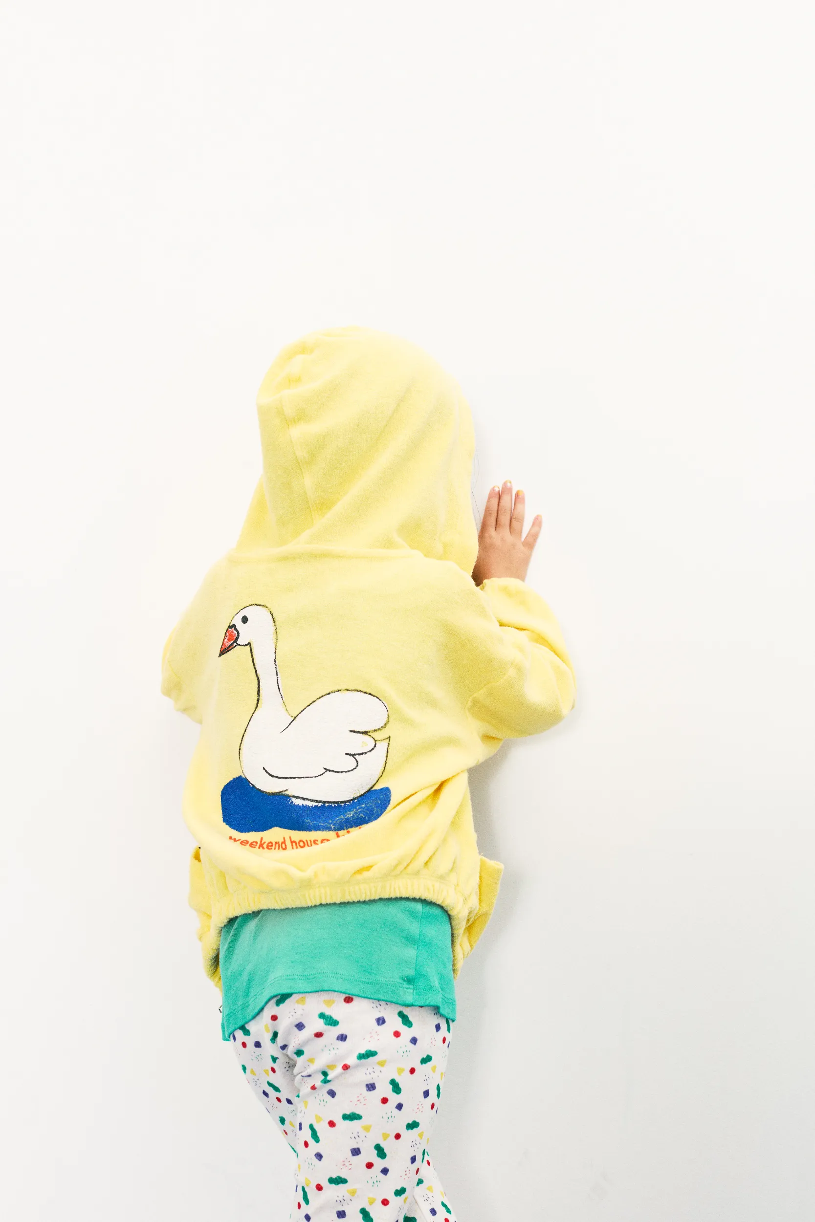 Swan hoodie
