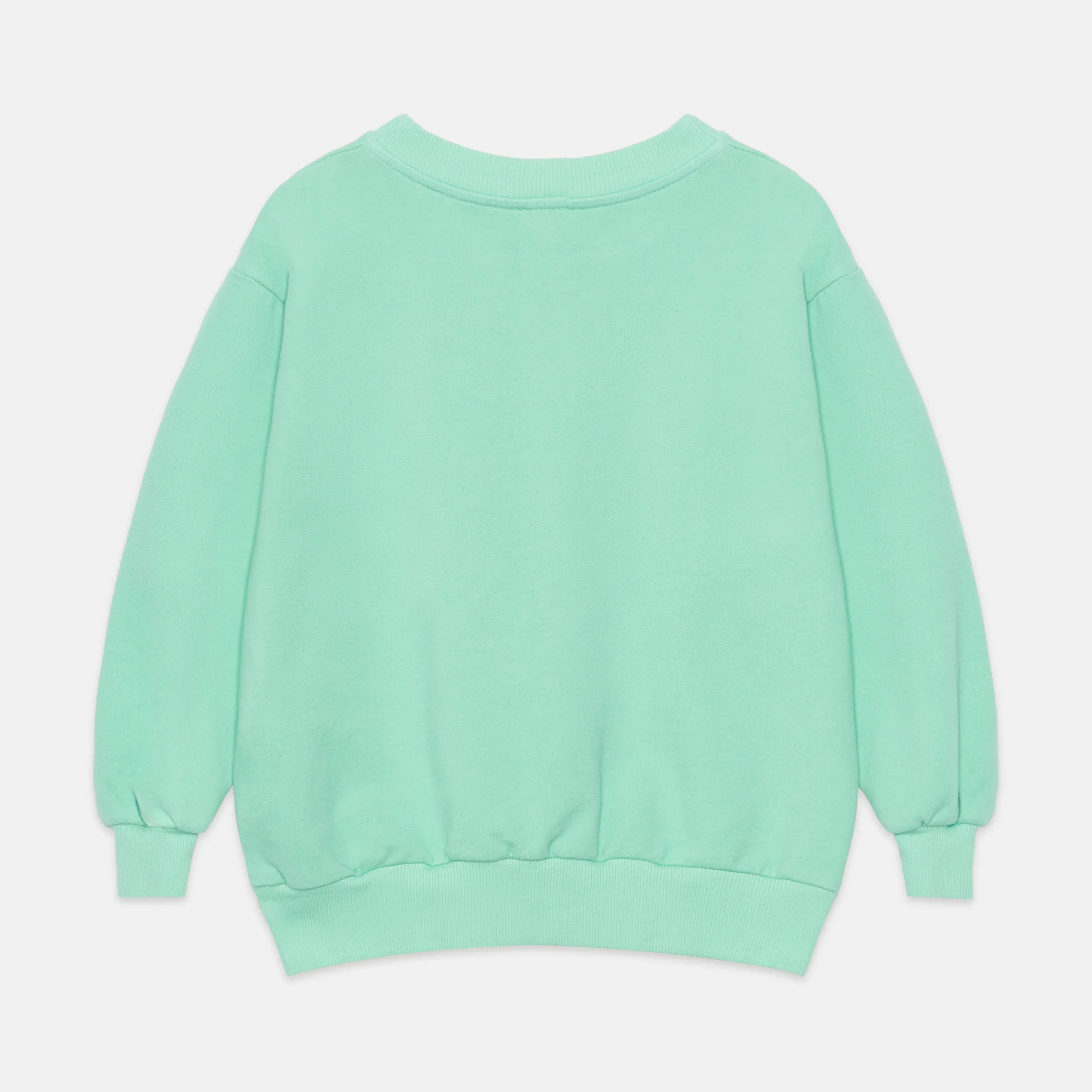 Fish shape sweatshirt (Mint)