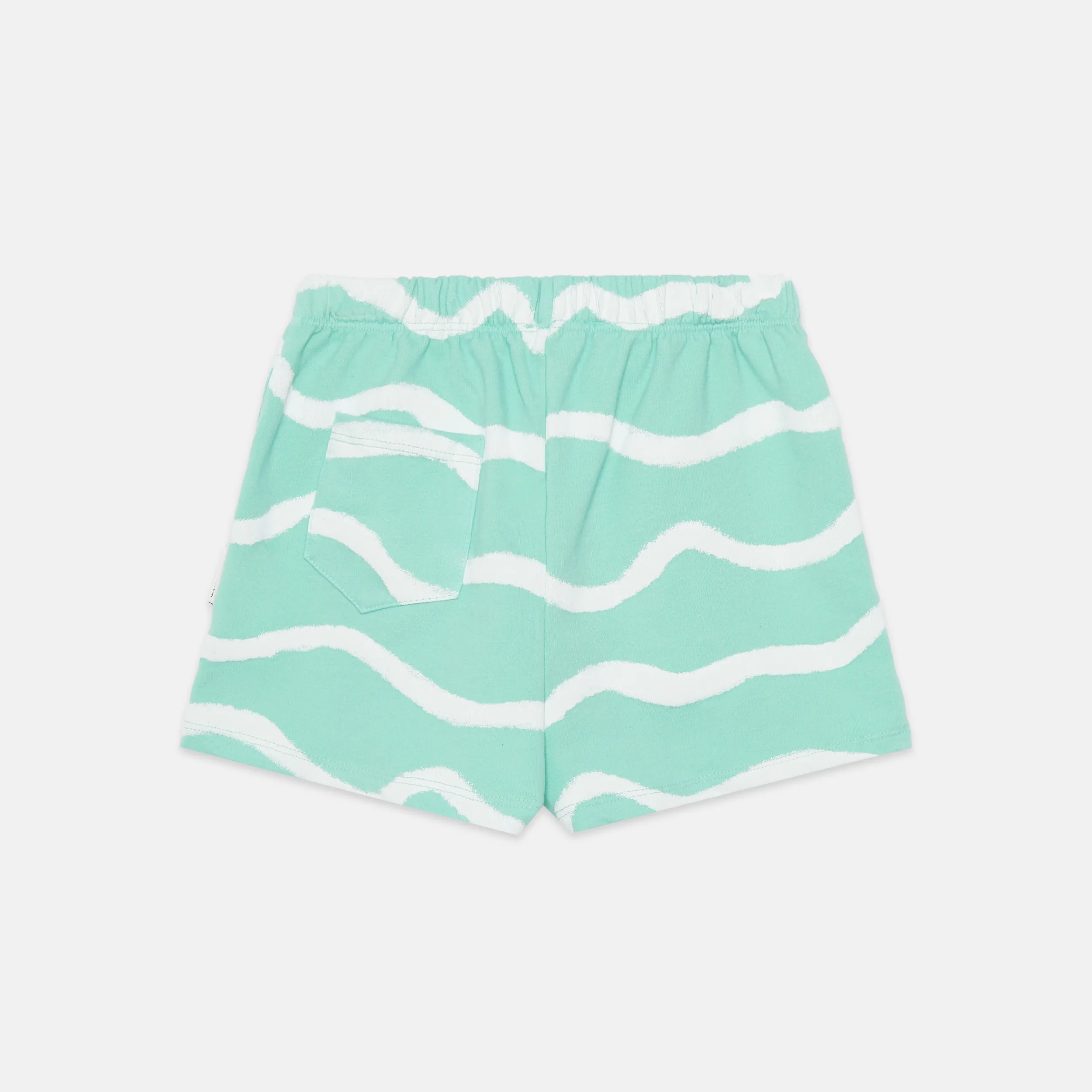 Waves shorts (Mint)