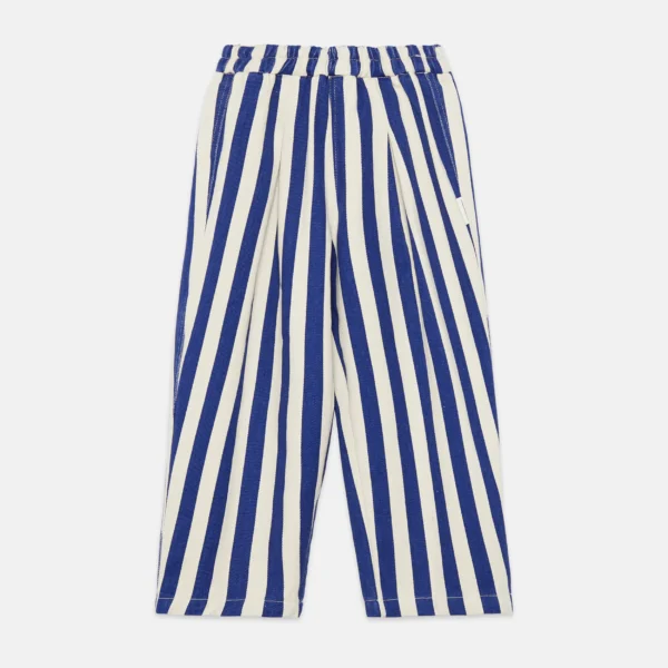 Blue stripped canvas pants
